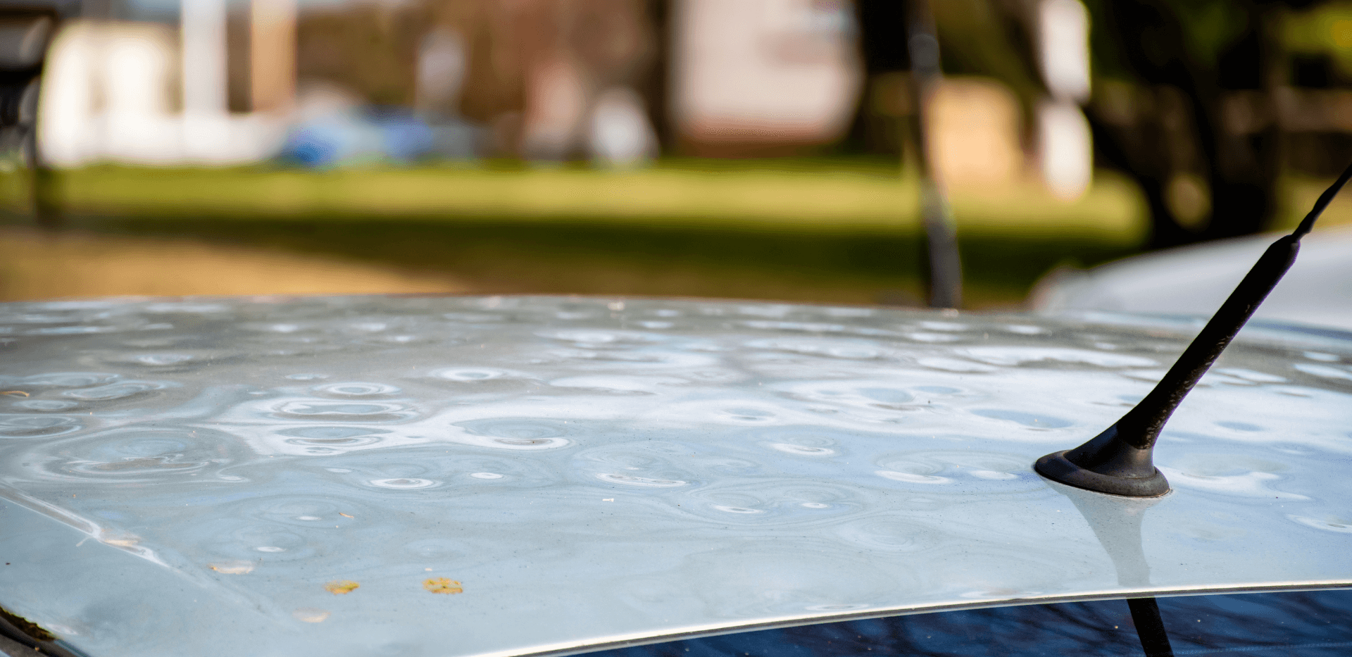 Hail Damaged Car Roof